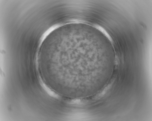 X0000091181098200708091217