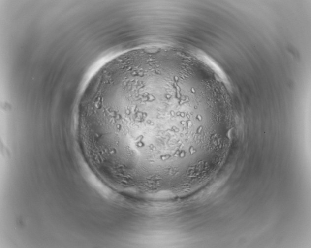 X0000091181099200708091217