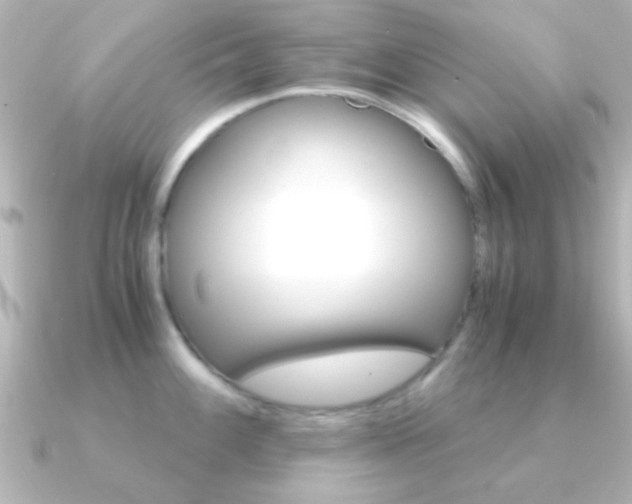 X0000091181100200708091217