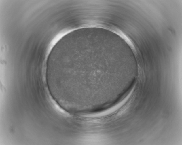 X0000091181102200708091217