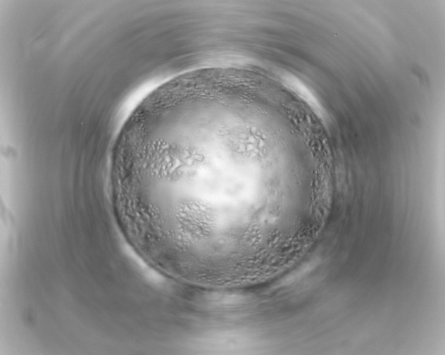 X0000091181103200708091217