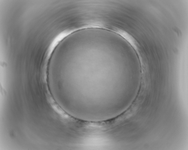 X0000091181104200708091217