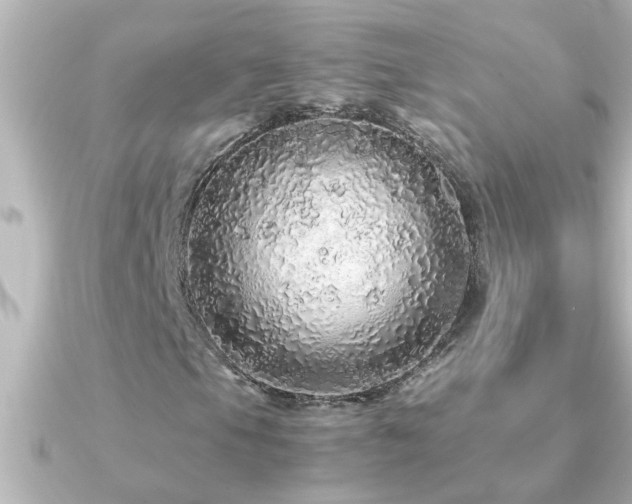 X0000091181105200708091217