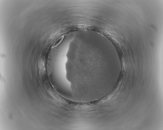 X0000091181106200708091217