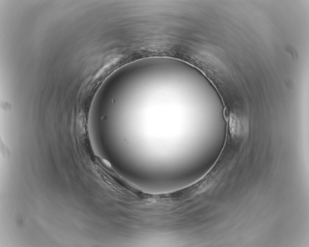 X0000091181107200708091217