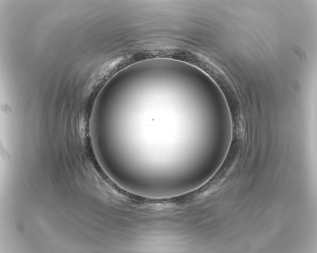 X0000091181108200708091217