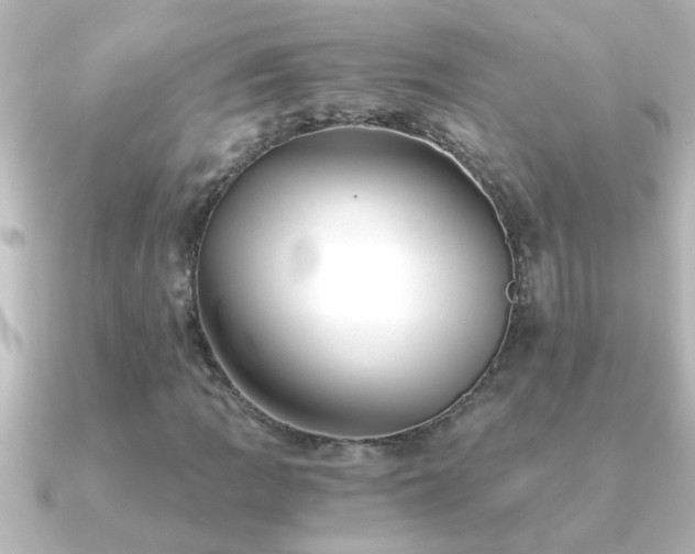 X0000091181109200708091217
