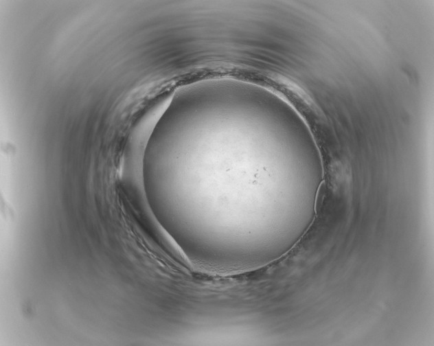 X0000091181111200708091217