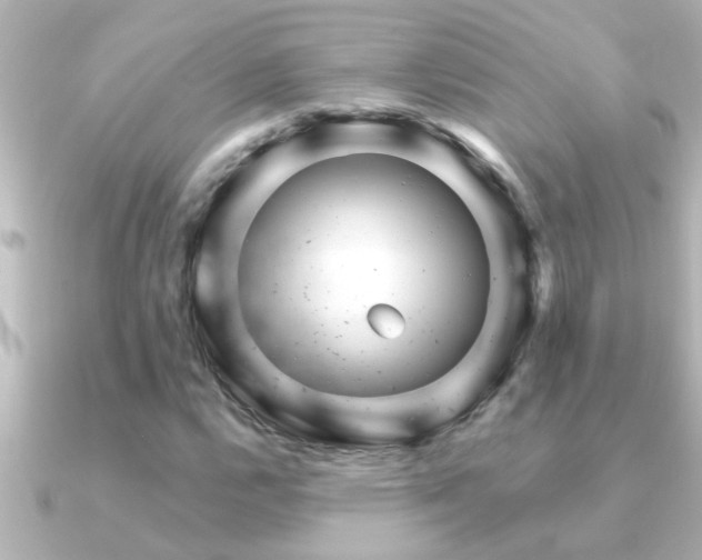 X0000091181112200708091217