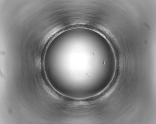 X0000091181113200708091217