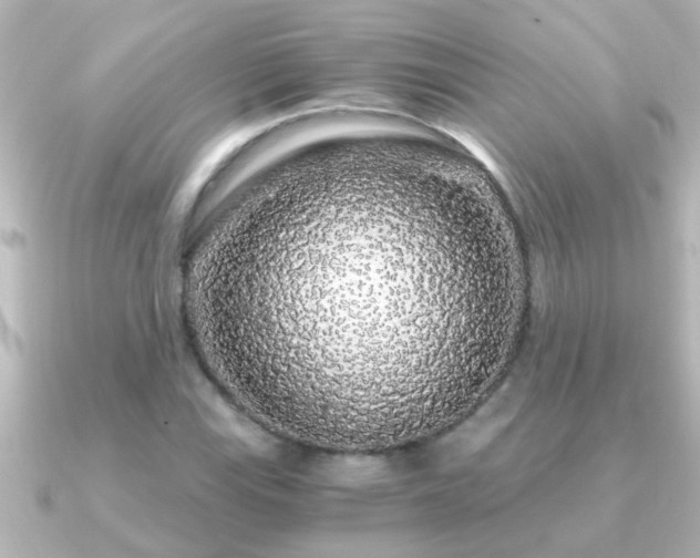 X0000091181115200708091217