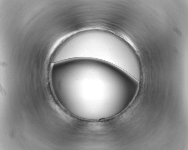 X0000091181116200708091217