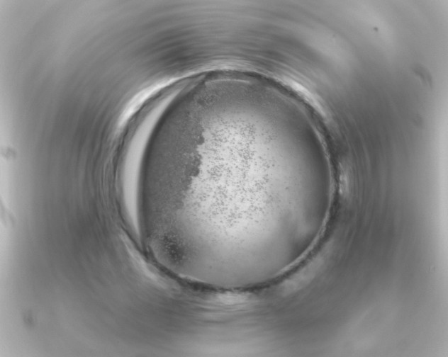 X0000091181117200708091217