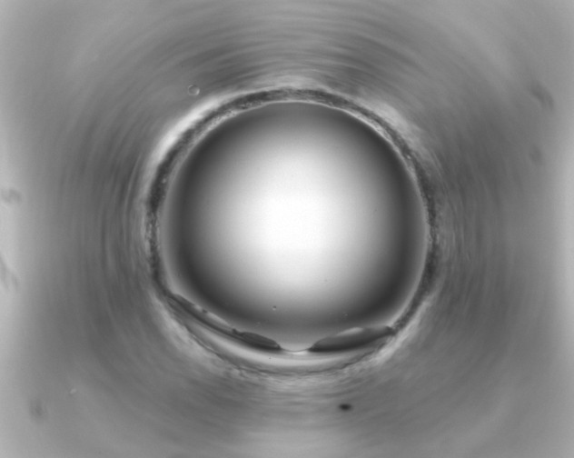 X0000091181118200708091217
