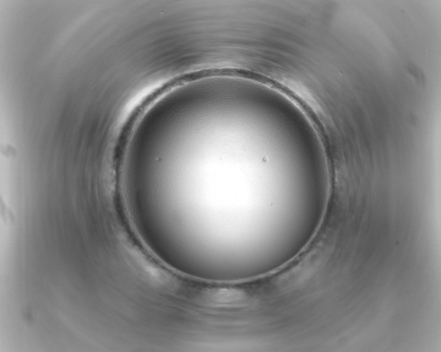 X0000091181119200708091217