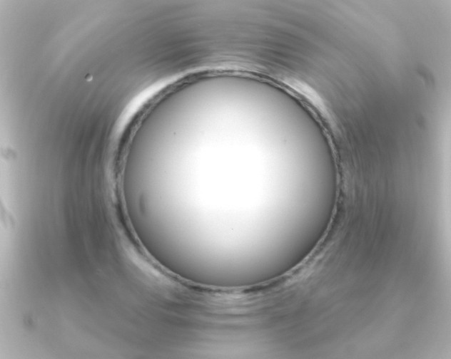 X0000091181120200708091217