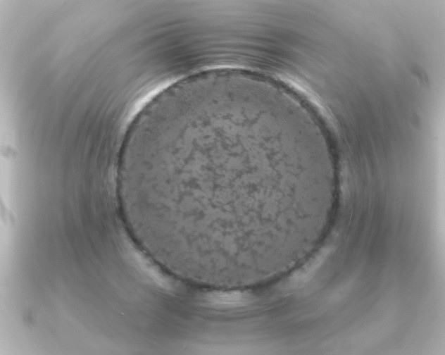 X0000091181121200708091217