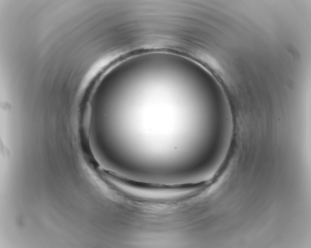 X0000091181122200708091217