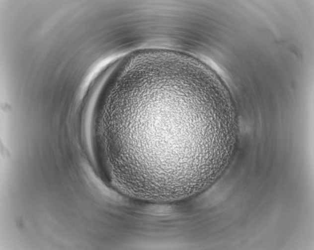 X0000091181123200708091217