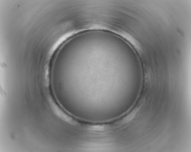 X0000091181126200708091217