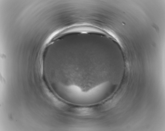 X0000091181127200708091217