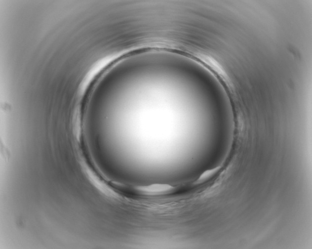 X0000091181128200708091217