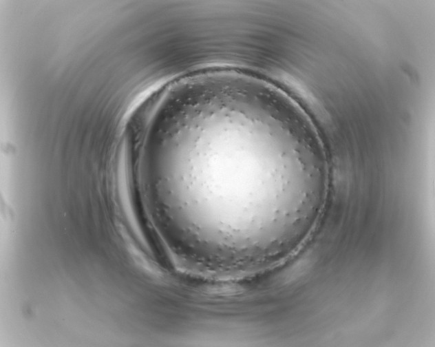 X0000091181129200708091217