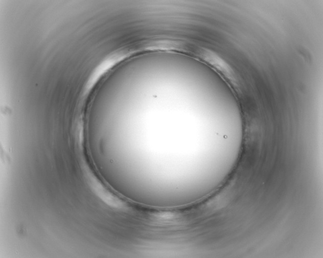 X0000091181130200708091217