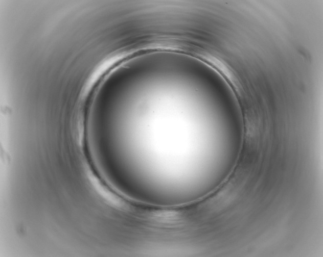 X0000091181131200708091217