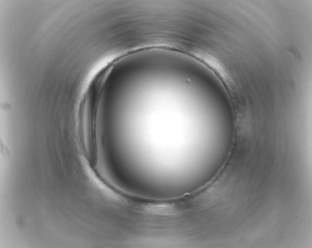 X0000091181135200708091217