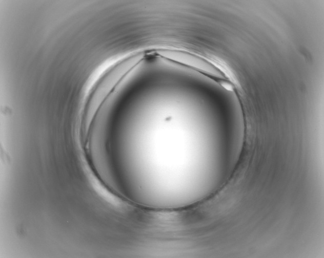 X0000091181136200708091217