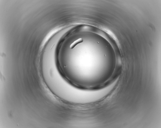X0000091181138200708091217