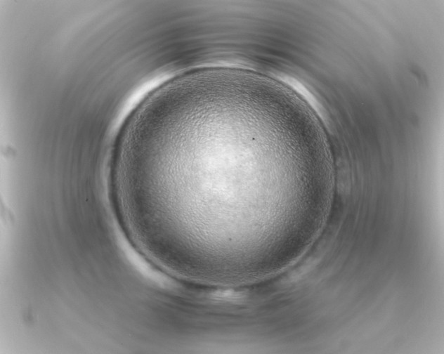 X0000091181139200708091217