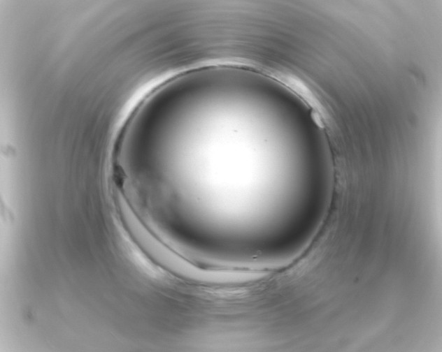 X0000091181140200708091217