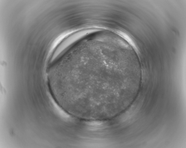 X0000091181141200708091217