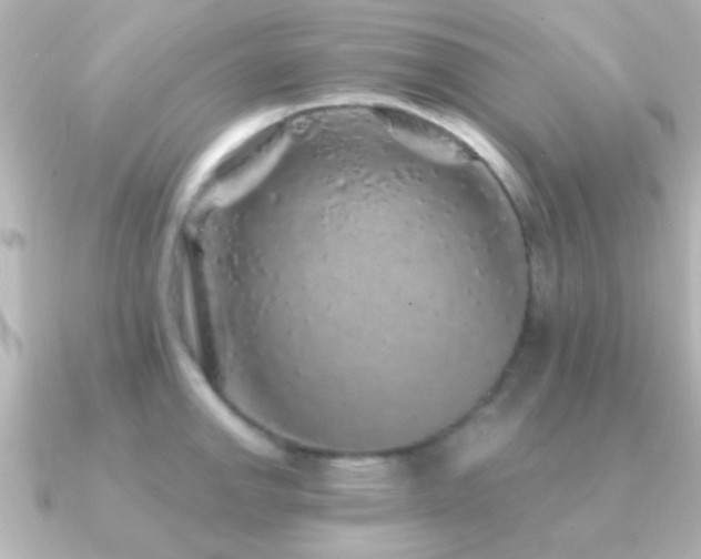 X0000091181142200708091217