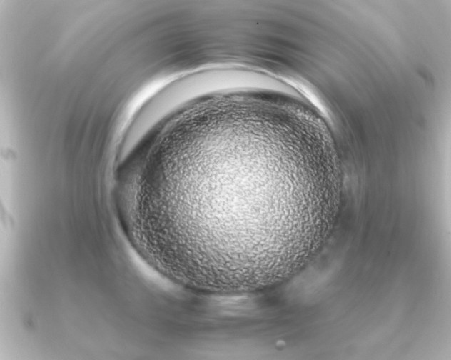 X0000091181143200708091217