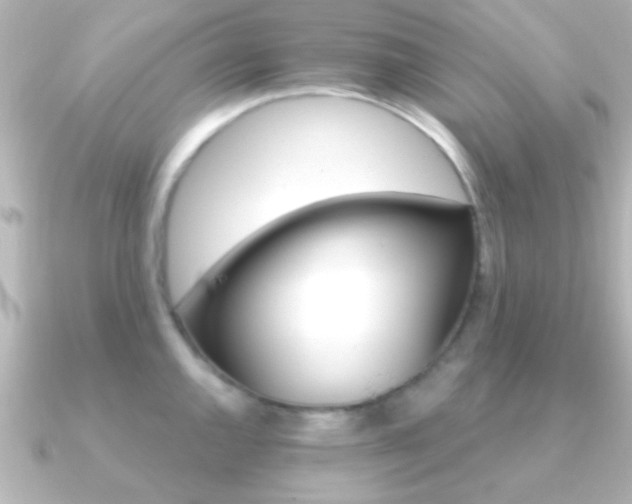X0000091181144200708091217