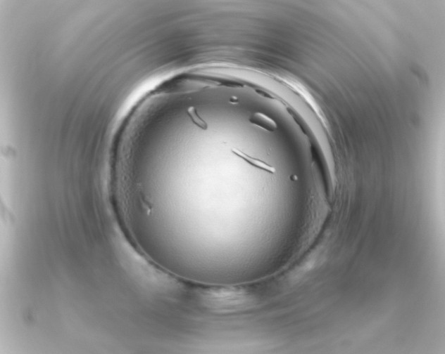 X0000091181147200708091217
