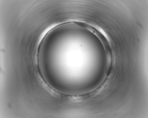 X0000091181148200708091217