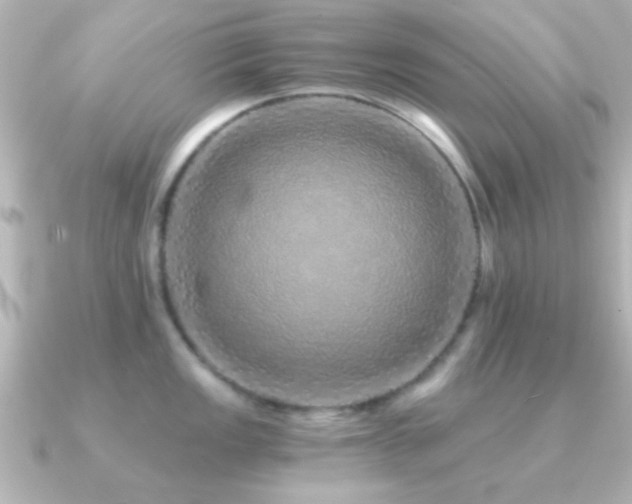 X0000091181149200708091217