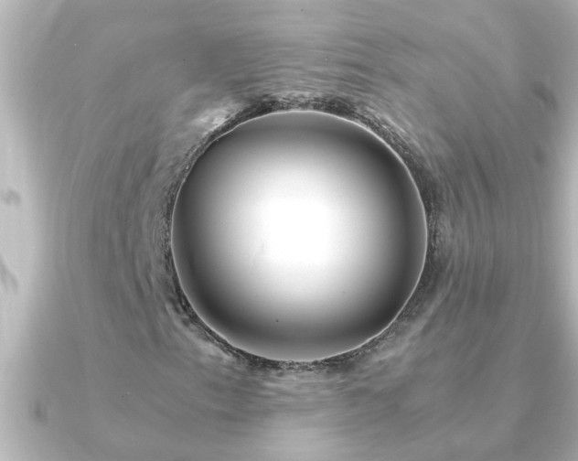 X0000091181153200708091217