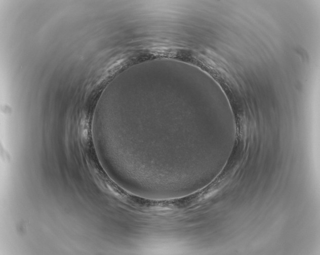 X0000091181154200708091217