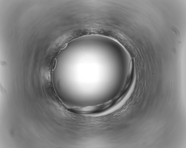 X0000091181155200708091217