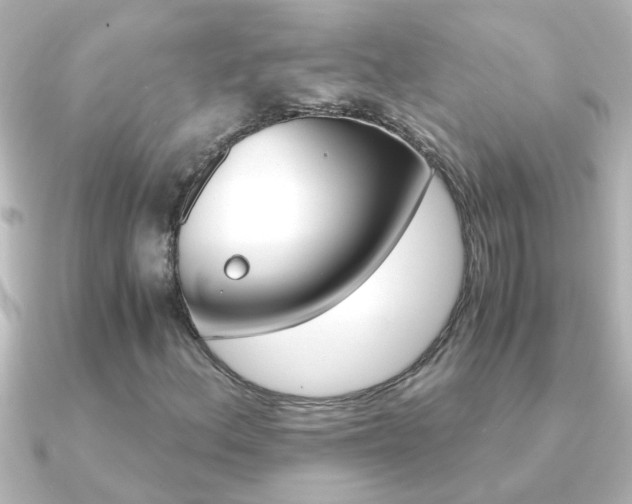 X0000091181156200708091217