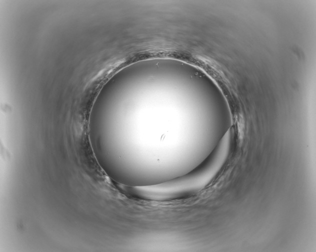 X0000091181157200708091217