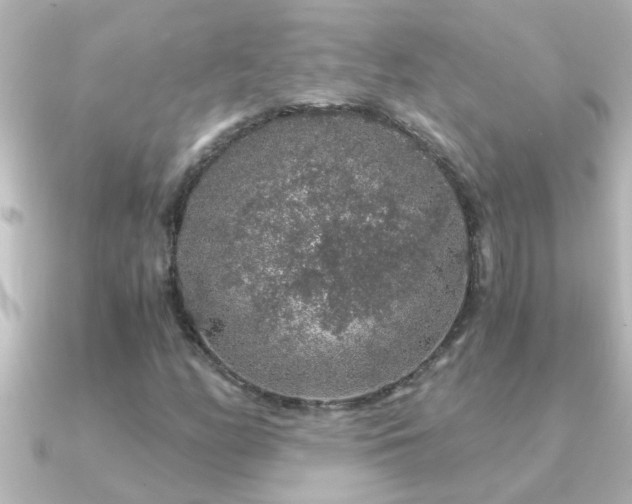 X0000091181158200708091217