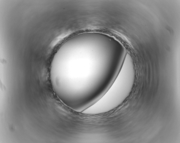 X0000091181160200708091217