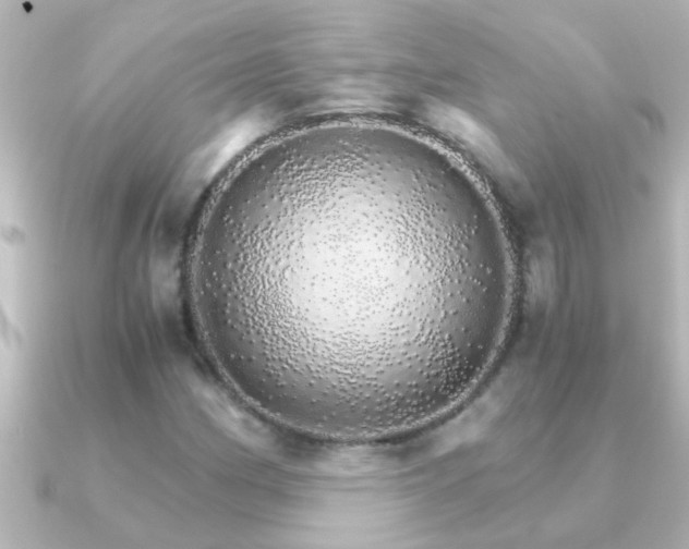 X0000091181162200708091217