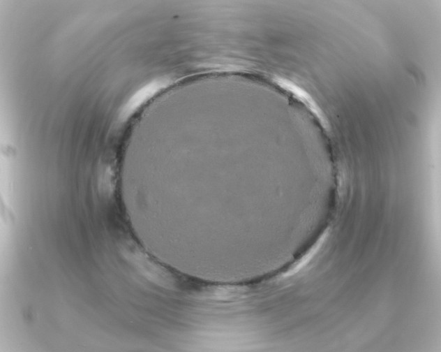 X0000091181163200708091217